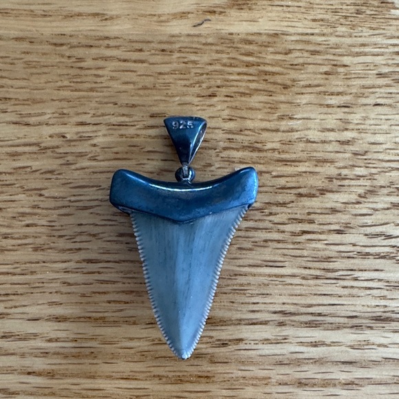 Stauer Men's Black Shark Tooth Pendant in Sterling Silver Setting NO CHAIN - Picture 3 of 6